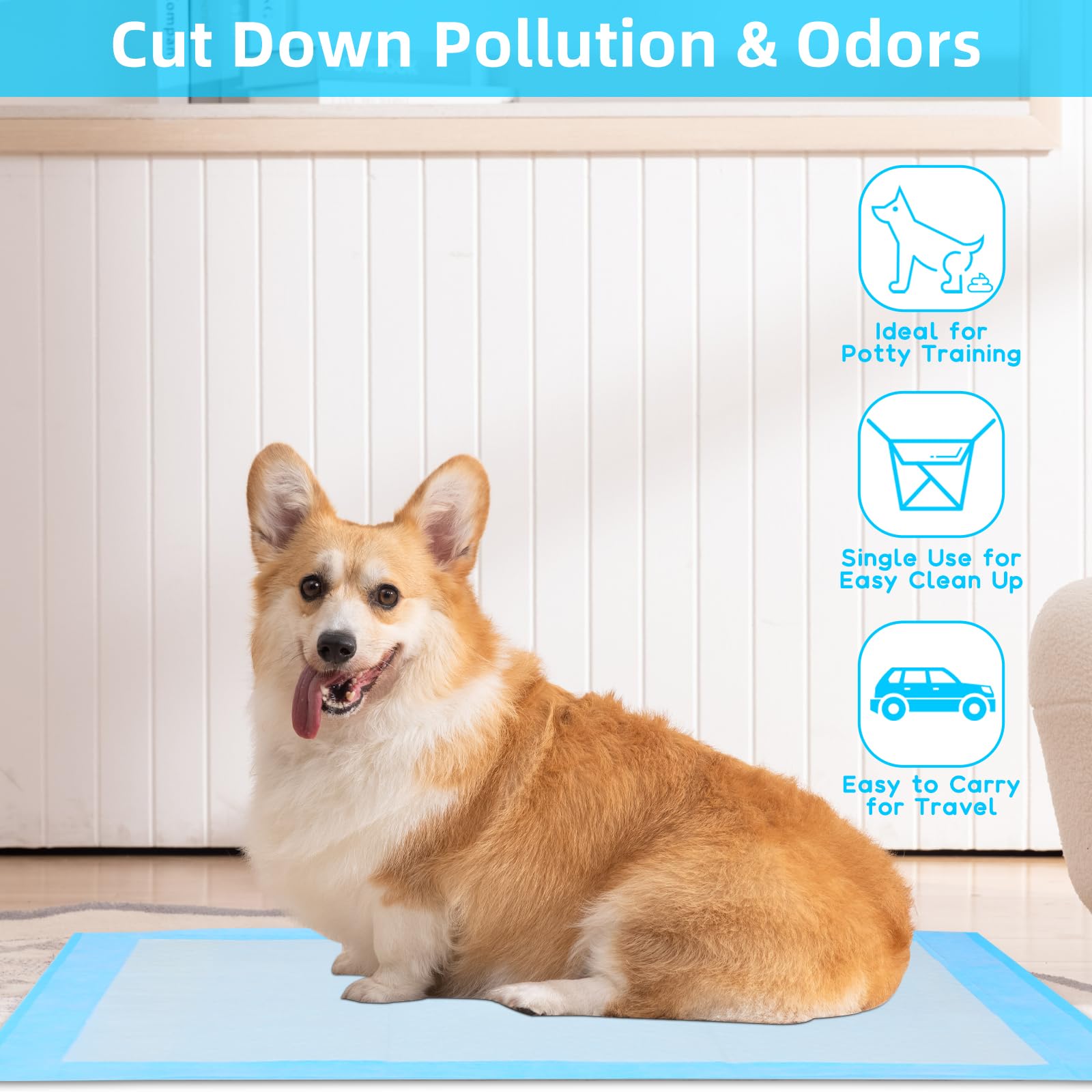 منصات تبول مانعة للتسرب للكلاب - مراجعة Pet Supplies Uk وسعره