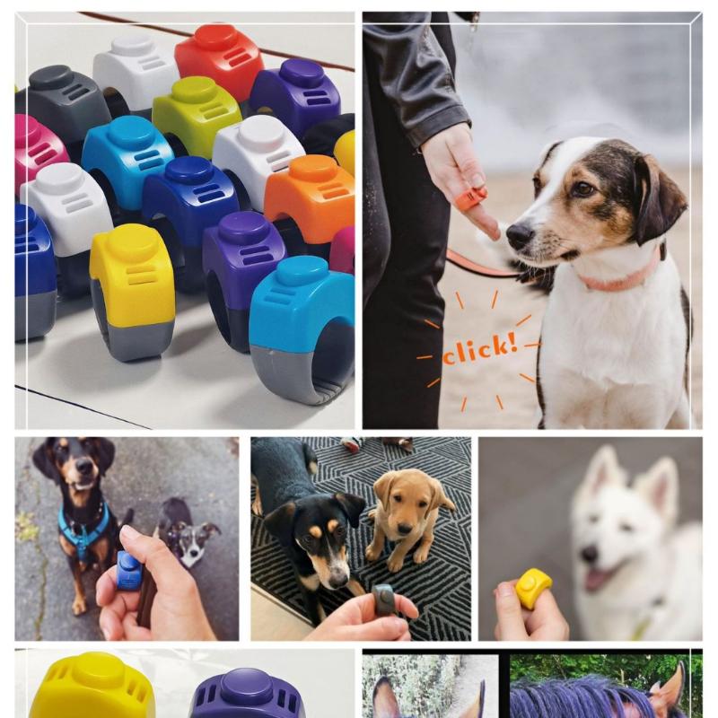 جهاز تدريب الحيوانات الأليفة ا - مراجعة Training Clicker Dog وسعره