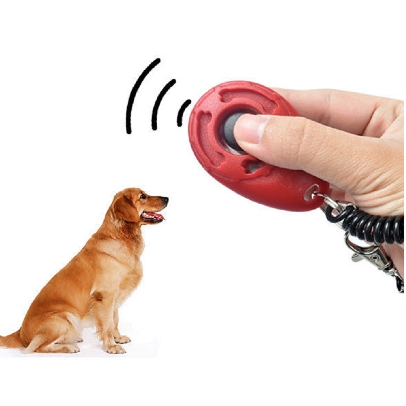جهاز تدريب الحيوانات الأليفة ق - مراجعة Training Clicker Dog وسعره