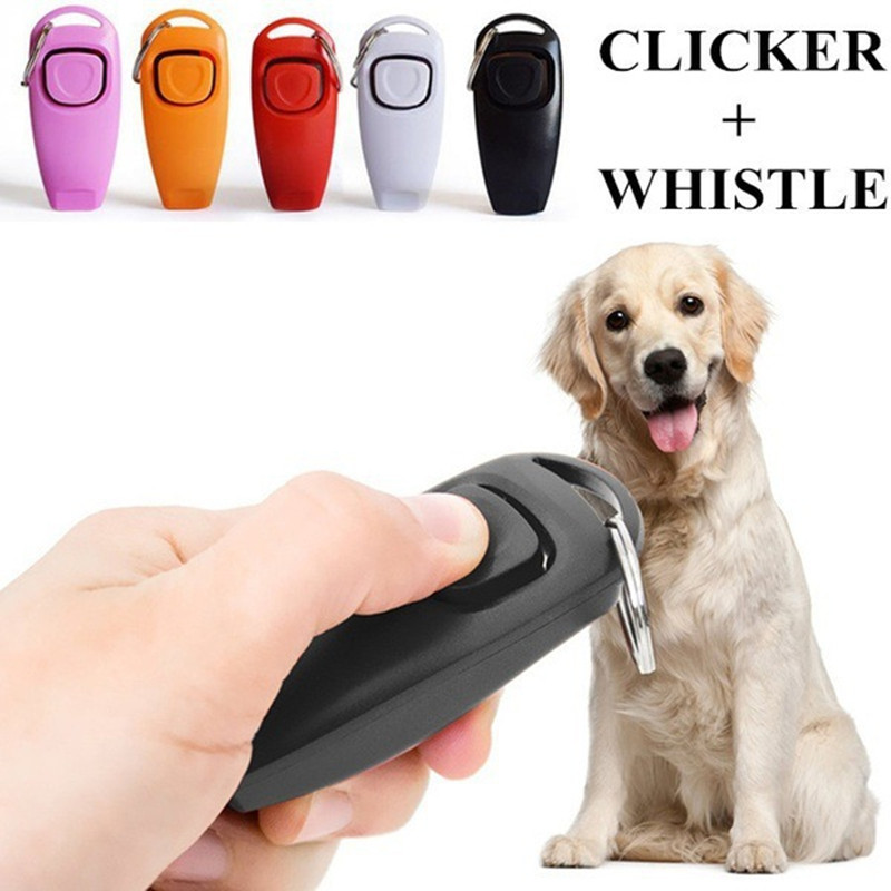 أداة تدريب الكلاب 2 في 1: صفار - مراجعة Training Clicker Dog وسعره
